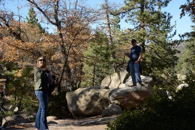 DSC_5137 (Large).JPG